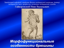 Морфофункциональные особенности строения брюшины