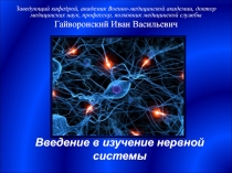 Введение в изучение нервной системы 