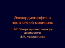 Эхокардиография в неотложной медицине