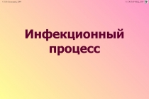 Инфекционный процесс