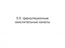Циркуляционные окислительные каналы