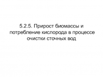 5 2 5 Прирост биомассы.ppt
