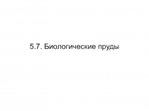 5 7 Биопруды.ppt