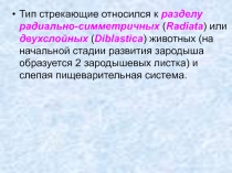 Черви членистоногие 