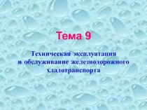 Техническая эксплуатация железнодорожного хладтранспорта 