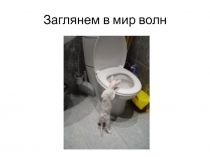 О волнах