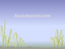 Бухгалтерский учет  теория 