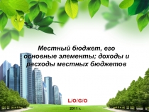 Местный бюджет