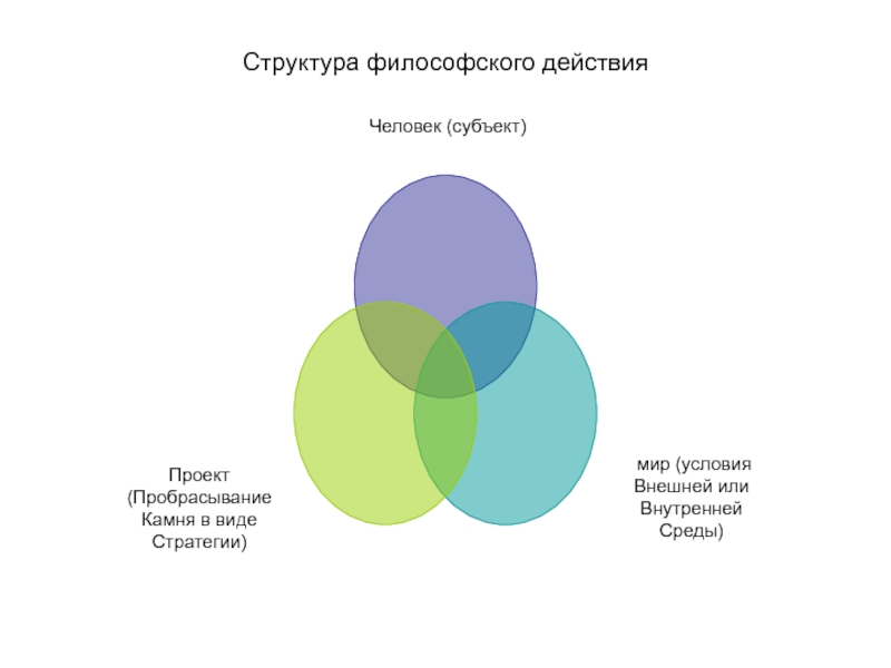 Субъект в проекте