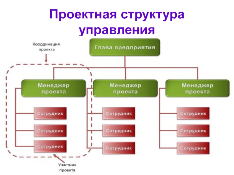 Проектная структура проекта