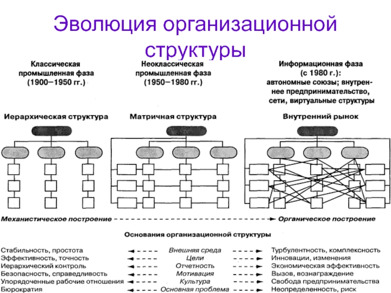 Структура развития общества