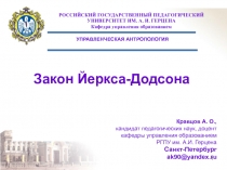 Закон Йеркса-Додсона 