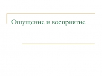 Ощущение и восприятие