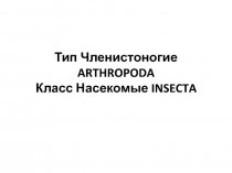 Тип Членистоногие ARTHROPODA Класс Насекомые INSECTA