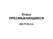 Класс ПРЕСМЫКАЮЩИЕСЯ REPTILIA