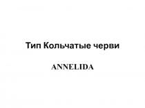 Тип Кольчатые черви ANNELIDA