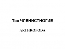 Тип ЧЛЕНИСТНОГИЕ ARTHROPODA