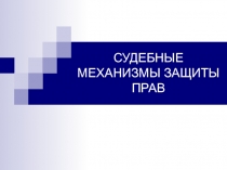 СУДЕБНЫЕ МЕХАНИЗМЫ ЗАЩИТЫ ПРАВ