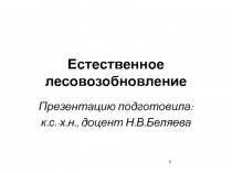Естественное лесовозобновление