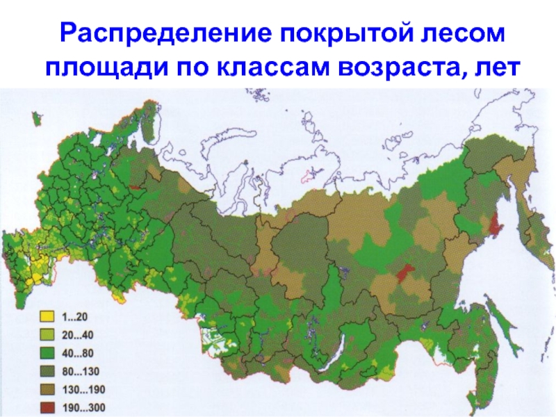 Россия леса карта