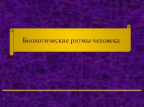 биоритмы.ppt