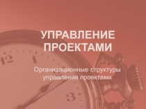 Организационные структуры управления проектами