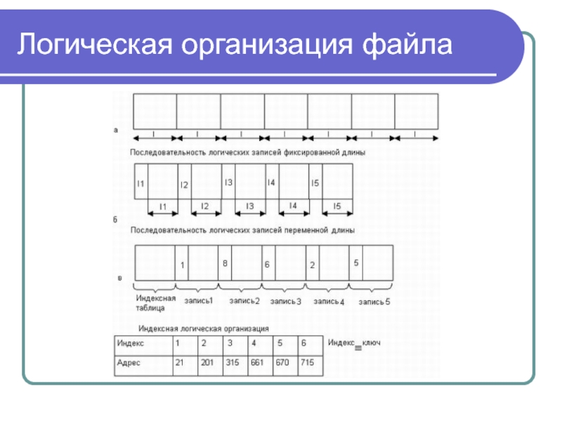 Логический файл. Логическая организация файла. Способы логической организации файлов. Опишите и изобразите способы логической организации файлов. Логическая организация файлов схема.