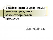 Возможности и механизмы участия граждан в законотворческом процессе 