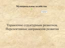 Управление муниципальным хозяйством