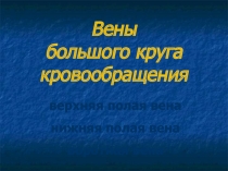 Вены большого круга кровообращения верхняя полая вена нижняя полая вена воротная вена