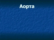 Аорта