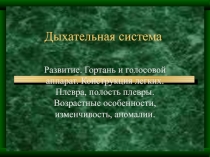 Дыхательная система.ppt