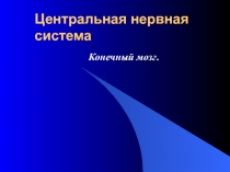 конечный мозг.ppt
