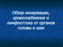 обзор органов головы и шеи 