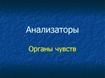 Орган слуха и равновесия 