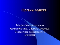  Кожа 