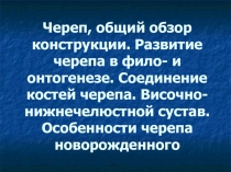 Череп, общий обзор конструкции.