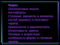Череп. Околоносовые пазухи