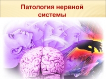 Нервная система 