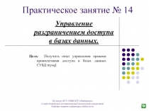 Управление разграничением доступа в базах данных