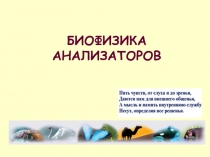 БИОФИЗИКА АНАЛИЗАТОРОВ