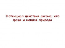 Потенциал действия аксона, его фазы и ионная природа