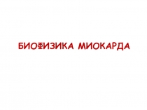 Сердечная  мышца 