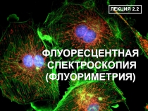 Флуоресцентная спектроскопия 