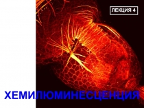 Хемилюминесценция 