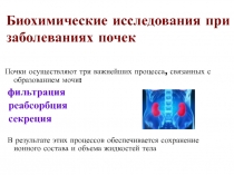Биохимические исследования при заболеваниях почек 