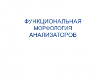Зрительный, обонятельный, вкусовой анализаторы