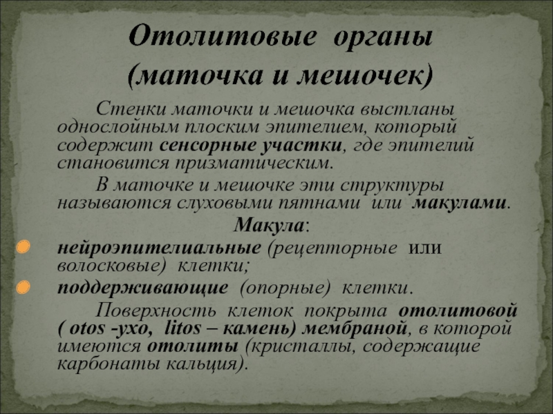 Строение статокинетического отдела уха статокинетический анализатор равновесия презентация