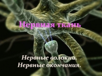 Нервная ткань 