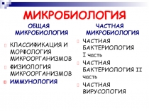 Классификация и строение МО  